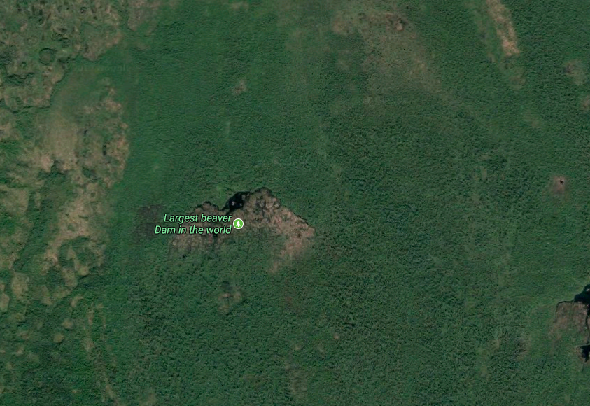 Diga di castoro nel Wood Buffalo National Park, Canada, vista da satellite