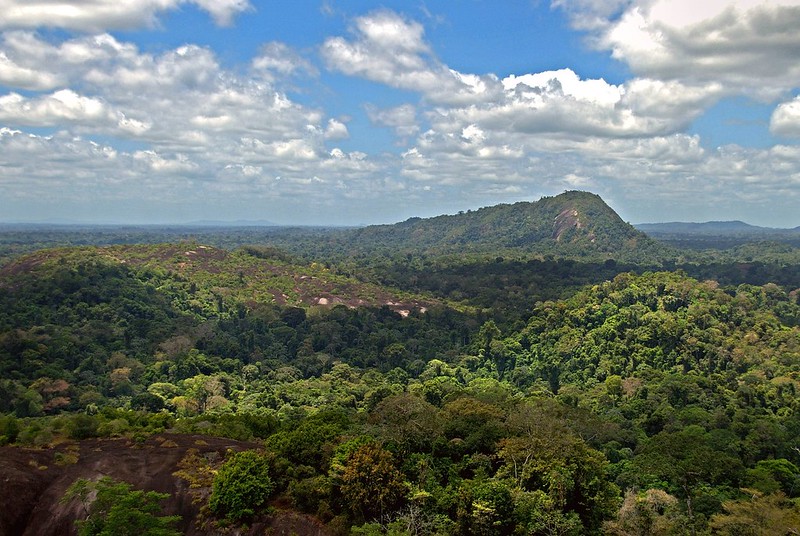 La foresta delle Amazzoni vista dall'alto