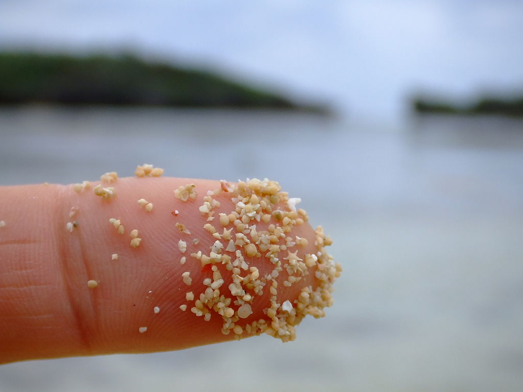 I granelli di sabbia a forma di stella di Hoshizuna-no-hama, Iriomote, Okinawa