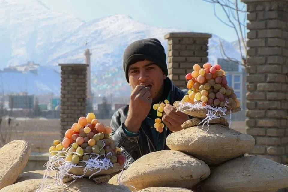 Kangina, la tecnica afghana che mantiene l'uva fresca per diversi mesi